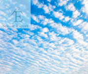 初秋という名の、まだ夏。　　　季節に寄り添うエスコートの心得