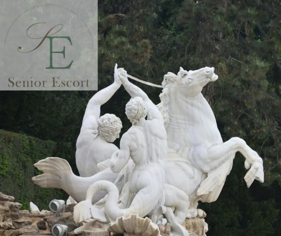 当たり前という「奇跡」に感謝して。
　　　　　　　2026年、新しい幕開け