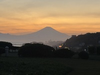2泊3日鎌倉旅行へエスコート行って来ました。
